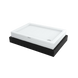 Beta (100x80)